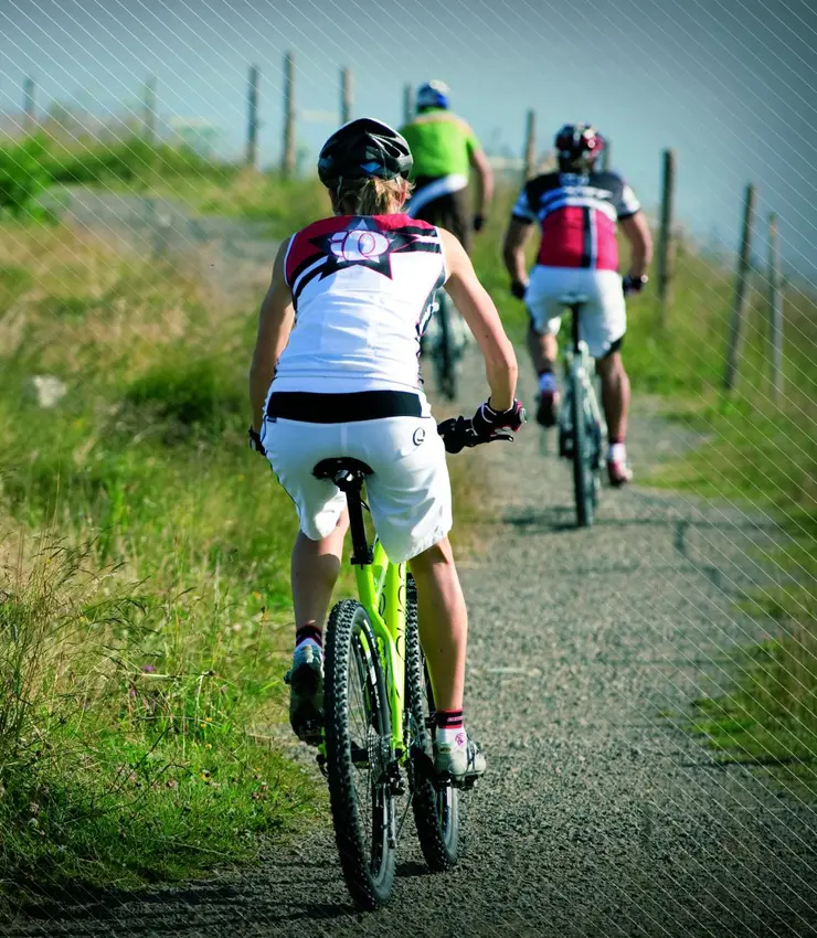mensche auf Mountainbikes